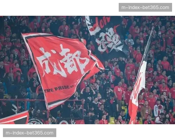 重庆铜梁龙保持不败稳居次席 升班马黑马成色引发战术讨论